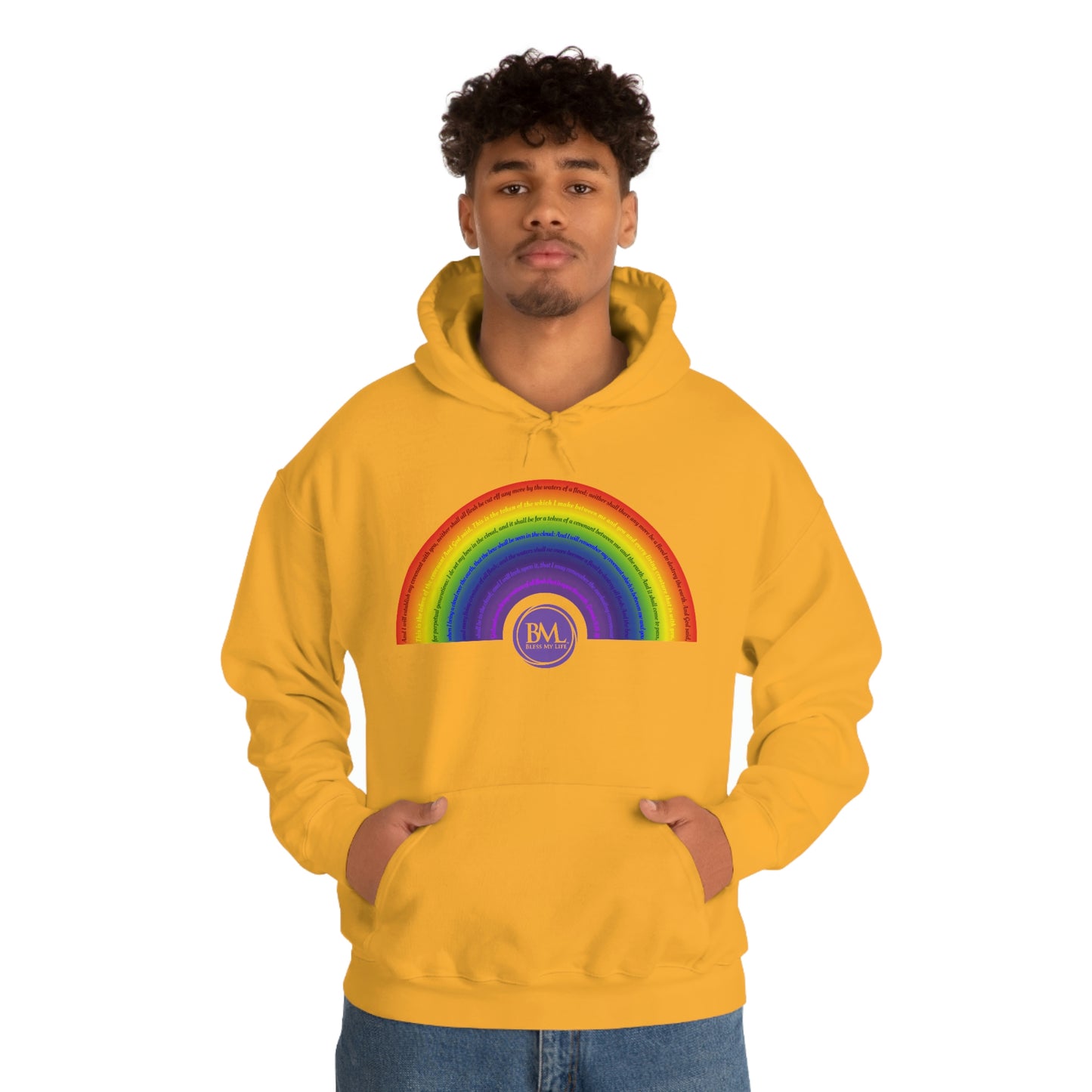 God's covenant in Biblical Scripture & in the form of His bow, A Worldwide Favorite Covenant seeing in the sky by Billions! Unisex Heavy Blend™ Hooded Sweatshirt