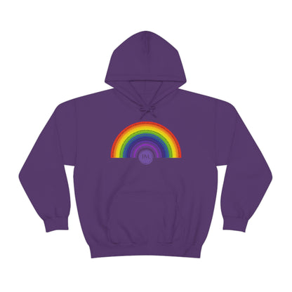 God's covenant in Biblical Scripture & in the form of His bow, A Worldwide Favorite Covenant seeing in the sky by Billions! Unisex Heavy Blend™ Hooded Sweatshirt