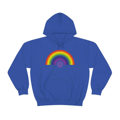 God's covenant in Biblical Scripture & in the form of His bow, A Worldwide Favorite Covenant seeing in the sky by Billions! Unisex Heavy Blend™ Hooded Sweatshirt